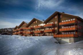 Perfectly Located-Close to Ski Slopes and Hiking Trails